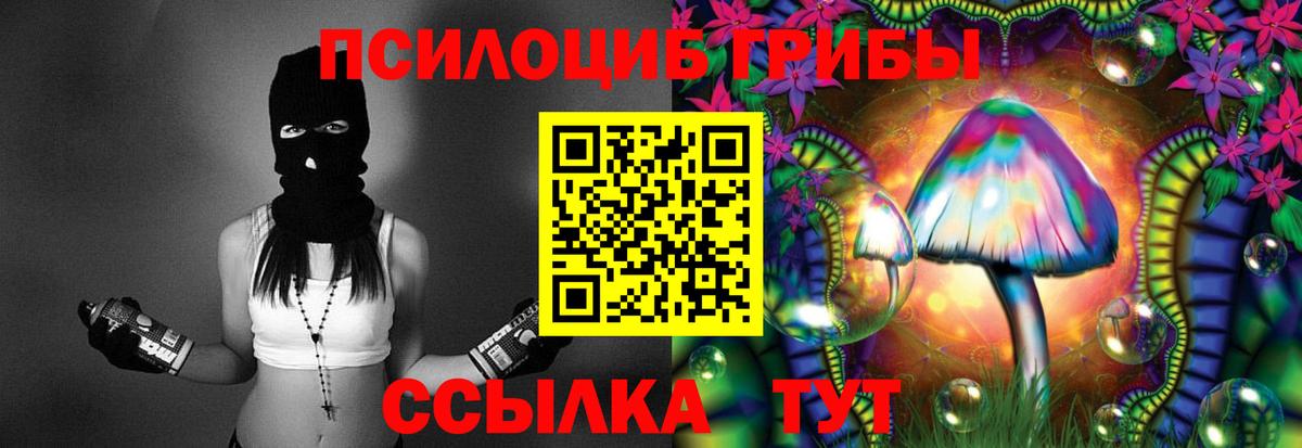 Тихвин  Псилоцибиновые грибы GOLDEN TEACHER  как найти   Вход с VPN 